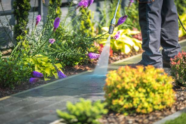 Best Building Exterior Pressure Washing in Red Hill, PA